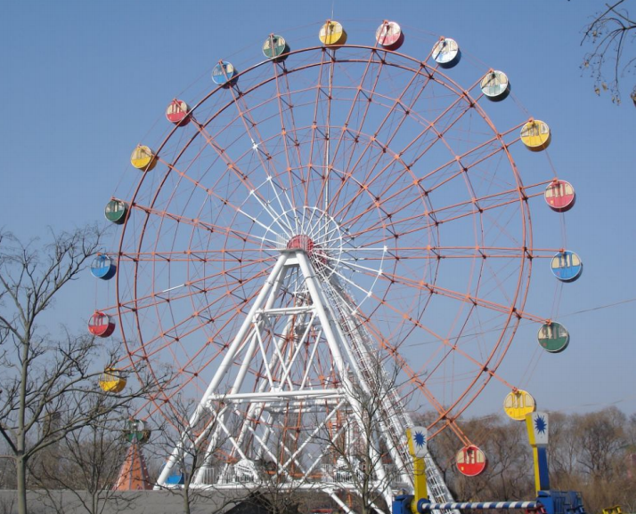Amusement Park Ferris Wheel Ride