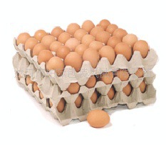 egg trays 