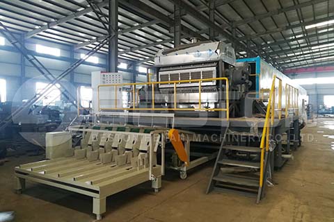 Automatic Egg Tray Machine to Saudi Arabia